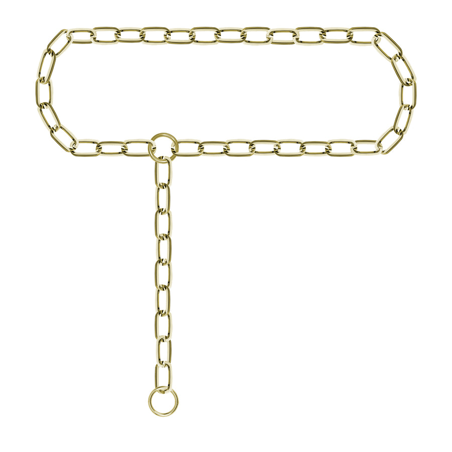 Phoebe Gold Chain Belt 